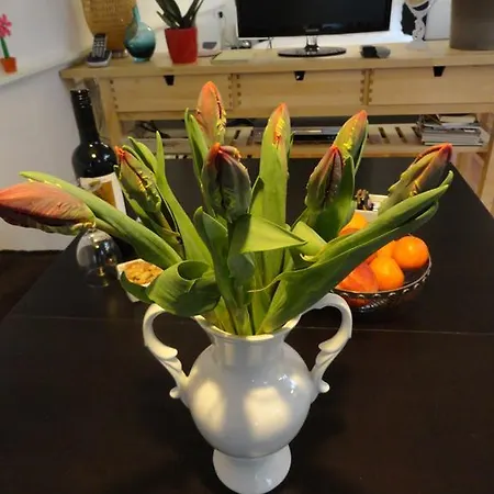 Apartment Amphora *
